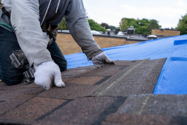 Best Roof Insulation Installation  in Eagle Point, AL