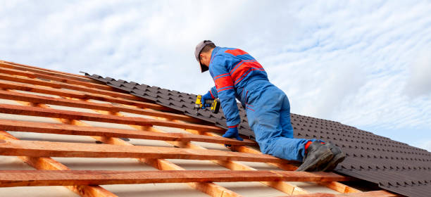 Best Skylight Installation and Repair  in Eagle Point, AL