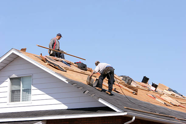 Best Metal Roofing Installation  in Eagle Point, AL